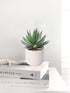 Briful Succulents Plants Artificial for Home Decor, Realistic Potted Fake Agave Plant, Cute Aloe Maguey Faux Plant