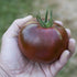 SEEDS4PLANTING Seeds Tomato Black Prince Giant Heirloom Vegetable Non GMO