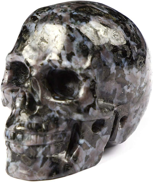 Skullis 2.0" Gabbro Crystal Skull - Hand Carved Gemstone Fine Art Sculpture, Reiki Healing Stone Statue