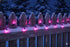 50 Brite Star Lt Designer Series Mini Lights, Purple, Purple Wire