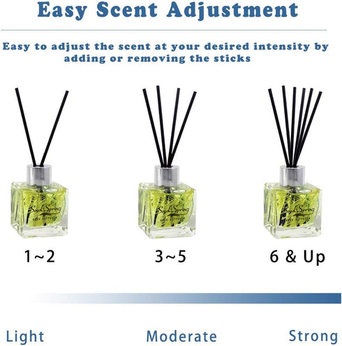 Reed Diffuser Set with Sticks, Vanilla Scent Oil for Bedroom, Office, Gym, Home Fragrance Products 50 ml / 1.7 oz