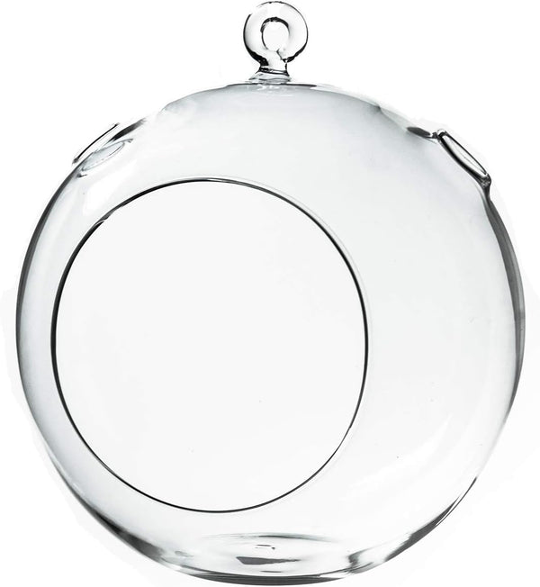 WGV Clear Glass Hanging Terrarium Globe, 7" Width, 8" Height, DIY Air Succulent Planter, 1 Piece