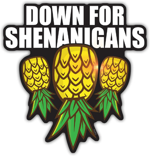 Down for Shenanigans Upside Down Pineapple Magnet, 4in for Cruise Door, Refrigerator, Car Bumper, Swinger Lifestyle