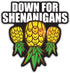 Down for Shenanigans Upside Down Pineapple Magnet, 4in for Cruise Door, Refrigerator, Car Bumper, Swinger Lifestyle