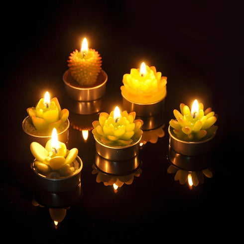 Cactus Tealight Candles, Handmade Delicate Succulent Candles, Perfect for Birthday Party, Wedding, Spa, Home Decor