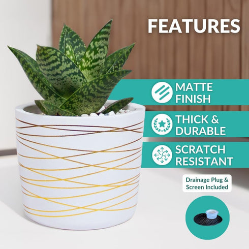 Willowy 6 Inch Ceramic Pot, Matte White with Gold Stripes, Drainage Plug Included