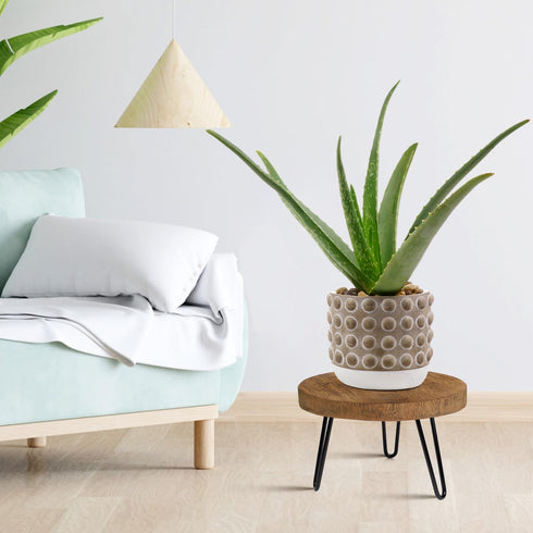 Plant Stand Indoor Outdoor Wood Mid Century Plant Stand for Indoor Plants, Modern Plant Table Round Plant Stool, Boho