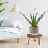 Plant Stand Indoor Outdoor Wood Mid Century Plant Stand for Indoor Plants, Modern Plant Table Round Plant Stool, Boho