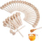 50 Pack Wooden Honey Dipper Sticks, 4 Inch Mini Honey Stirrer Stick,