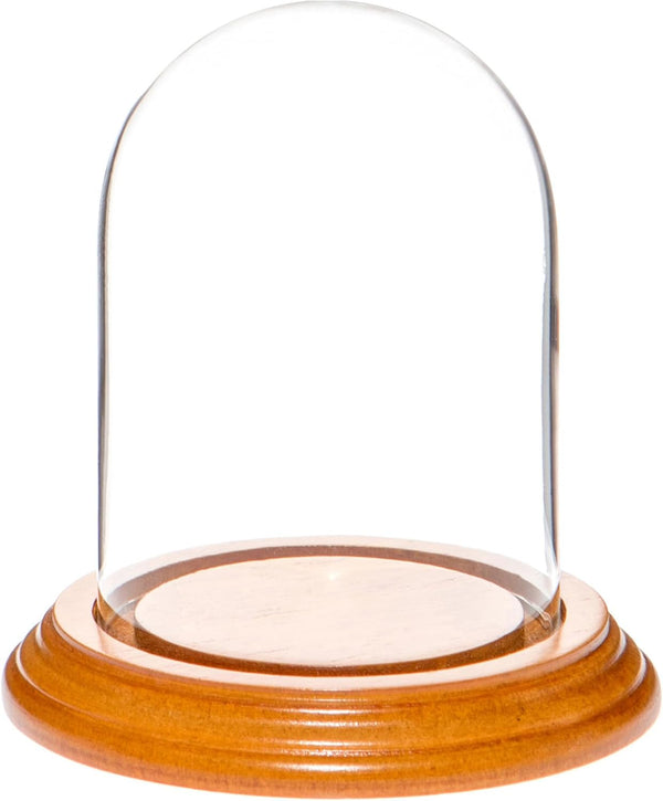 Plymor 3" x 4" Glass Display Dome Cloche with Oak Veneer Base