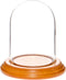 Plymor 3" x 4" Glass Display Dome Cloche with Oak Veneer Base