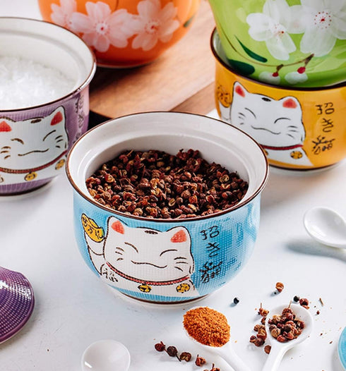 Ceramic Japanese Lucky Cat Sugar Bowl - Salt Storage Jar with Lid and Spoon