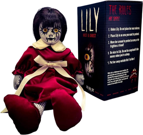 Lily: Host a Ghost 13" Creepy Haunted Doll for Protection from Ghosts.