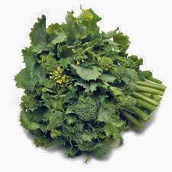 Broccoli Raab Seeds, Rapini, Heirloom, Non GMO, 25 Seeds, Delicious a Culinary