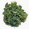 Broccoli Raab Seeds, Rapini, Heirloom, Non GMO, 25 Seeds, Delicious a Culinary