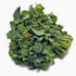 Broccoli Raab Seeds, Rapini, Heirloom, Non GMO, 25 Seeds, Delicious a Culinary