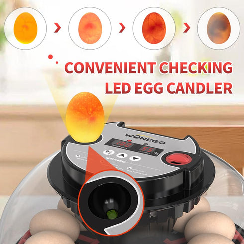 12 (RED-12) Automatic Egg Incubators for Hatching Eggs Whith Smart Temperature Control, Auto Turner, LED Candling