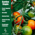 Pack 30 Park Seed Variety of Tomato Seeds, Planting Vegetables, Easy to Grow, Non-GMO, Perfect for Harvesting, Better