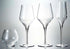 Luigi Bormioli Supremo 15.25 oz Pinot Noir Stemless Wine Glasses, Set of 2, Clear
