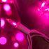 200 Pink LED Christmas Lights with Pink Wire, Pack of 2 Sets, 33 ft 100 Count UL Certified String Light