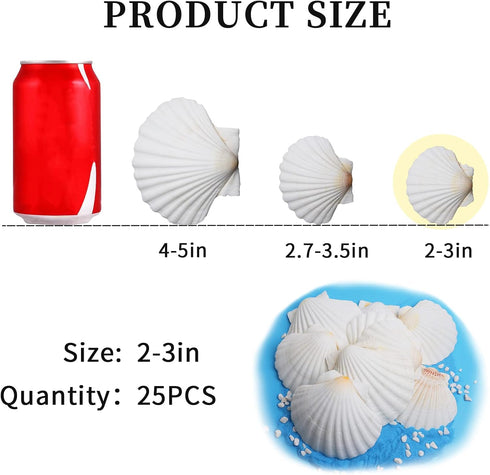25pcs Scallop Shells for Crafts, 2-3 Inches White Large Natural Seashells for DIY Home Decor, Baking Shells for Serving Food