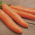 15 60 Park Seed Sow Effortless Collection Seed Tape Little Finger Carrot, Feet Easy DIY Planting, Sweet Baby Carrots