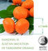 Fake Mini Tangerine Orange Artificial Fruit Simulation for Home Party Kitchen Festival Decoration, 3 pcs