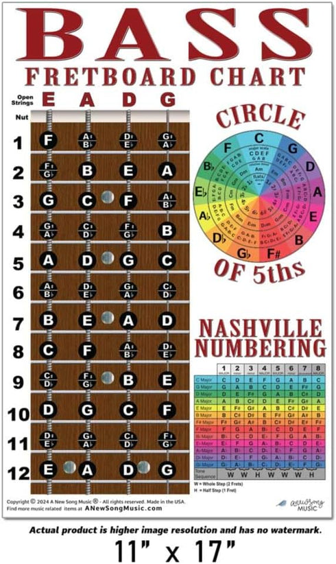 4 String Bass Instructional Chart - Fretboard Notes Poster, Nashville Numbering System, 11"x17"