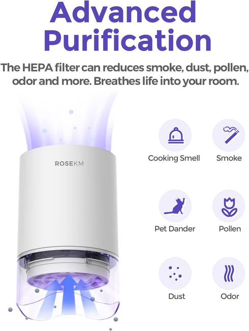 1-Year Pack Air Purifier Replacement Filter for AP001R, True HEPA Filter, 4 Pack