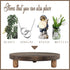 MADOCEGO 2 9.8 Inches) Pcs Wood Plant Stand Wooden Plant Stool Round Riser Display Stand Flower Pot Holder Low Plant