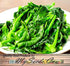MySeeds.Co - BIG PACK Seeds Pack (1,500) Pack Big - Chinese Broccoli, Kailan GAI LAN Seeds - Used in Cantonese Cuisine