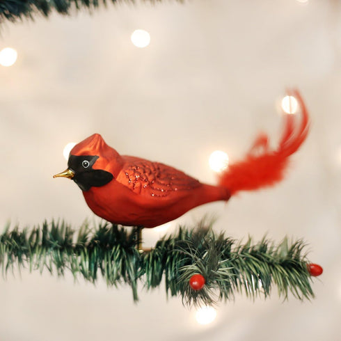 Old World Christmas Large Glass Blown Red Cardinal Ornament for Christmas Tree