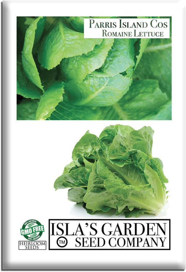 Parris Island Cos Romaine Lettuce Seeds (Lactuca sativa) 1000+ Heirloom Non-GMO Seeds