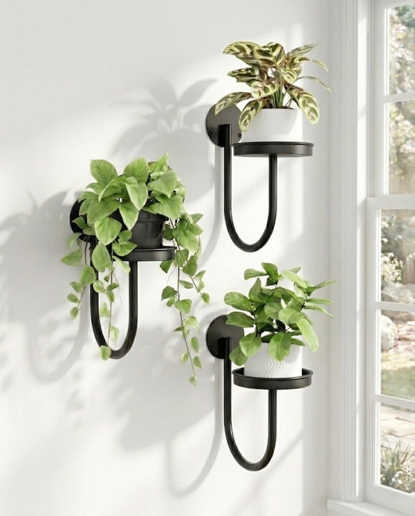 Bamworld Hanging Planters for Indoor Plants Wall Plant Holder Plant Hanger Indoor