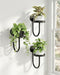 Bamworld Hanging Planters for Indoor Plants Wall Plant Holder Plant Hanger Indoor