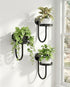 Bamworld Hanging Planters for Indoor Plants Wall Plant Holder Plant Hanger Indoor
