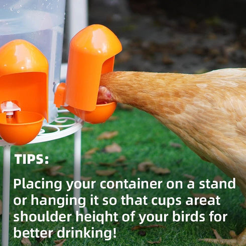 Labodey (5 Pack) Large Chicken Waterer Cups Automatic with Anti-Roosting Cover | Poultry Waterer Cups Suitable