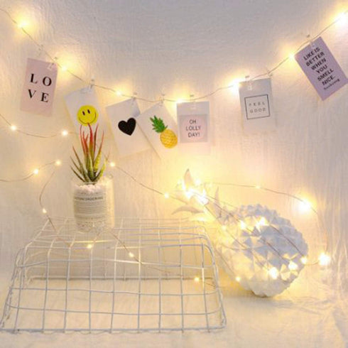 JMTGNSEP 50LED 20 Photo Clips String Fairy Lights, Battery Powered Decoration for Indoor Christmas Party, 16ft Warm