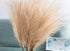 UiiziC Faux Pampas Grass Dried Fluffy 6pcs, 35" Ascendant Grass for Wedding Bouquets, Home Decor (Brown)