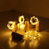 Aluan Wine Bottle Lights with Cork, 10 Pack Waterproof LED Fairy/String Lights for Jar Party Wedding Decoration, Warm