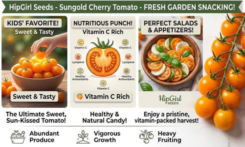 HipGirl 10ct Pods:10ct Sweet Orange Sun Gold Cherry Tomato Seeds for Planting.Non GMO Garden Seeds for Planting