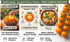 HipGirl 10ct Pods:10ct Sweet Orange Sun Gold Cherry Tomato Seeds for Planting.Non GMO Garden Seeds for Planting