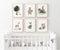 Joocrise Woodland Nursery Wall Art Decor Set of 6 Animal Canvas Wall Decor