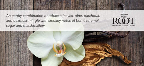 Root Candles Honeycomb Traveler Scented Beeswax Blend Candle in Tobacco Vanilla, 4-Ounce