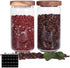 SAIOOL Home Borosilicate Glass Kitchen Jars/Canisters with Acacia Wood Airtight Lid, Set of 2 Pack