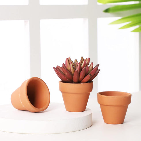 Yishang 1.9 Inch Tiny Terracotta Pots - Pack of 36 Mini Clay Pots with Drainage Holes for Succulent Plants