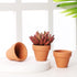 Yishang 1.9 Inch Tiny Terracotta Pots - Pack of 36 Mini Clay Pots with Drainage Holes for Succulent Plants