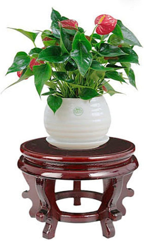 Rluii (5.5 inches 3.9 inches Chinese Display Stands Hand-Crafted Rosewood Oriental Vase Stand accessories Decor / Fish