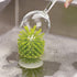 Hengkainsing Brush-Up Glass Brush with Suction Cup - Upright Stays in Sink for Kitchen Bottle Cleaning (Gray)