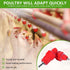 KISEER 30-Pack Poultry Nipple Waterer for Chickens and Ducks - Screw Style